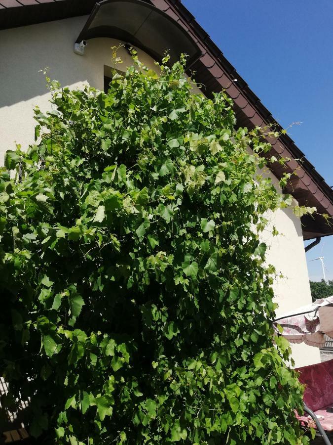 Ferienwohnung Sloneczne Zacisze Wicko  Exterior foto